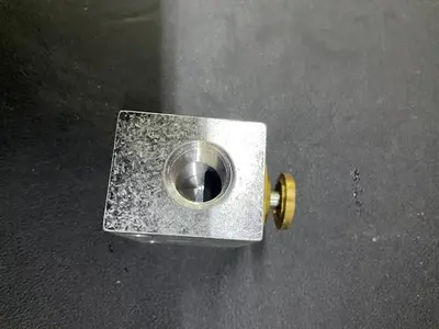 Waukesha Button Valve PN 117864