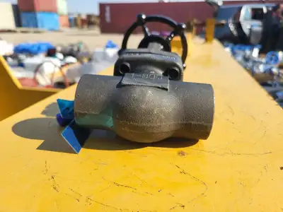 1" Class 800 Globe Valve API 602