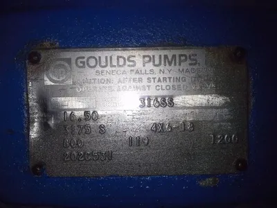 USED Goulds 3175