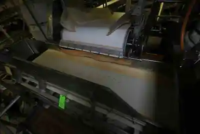 25 " wide ss conveyor