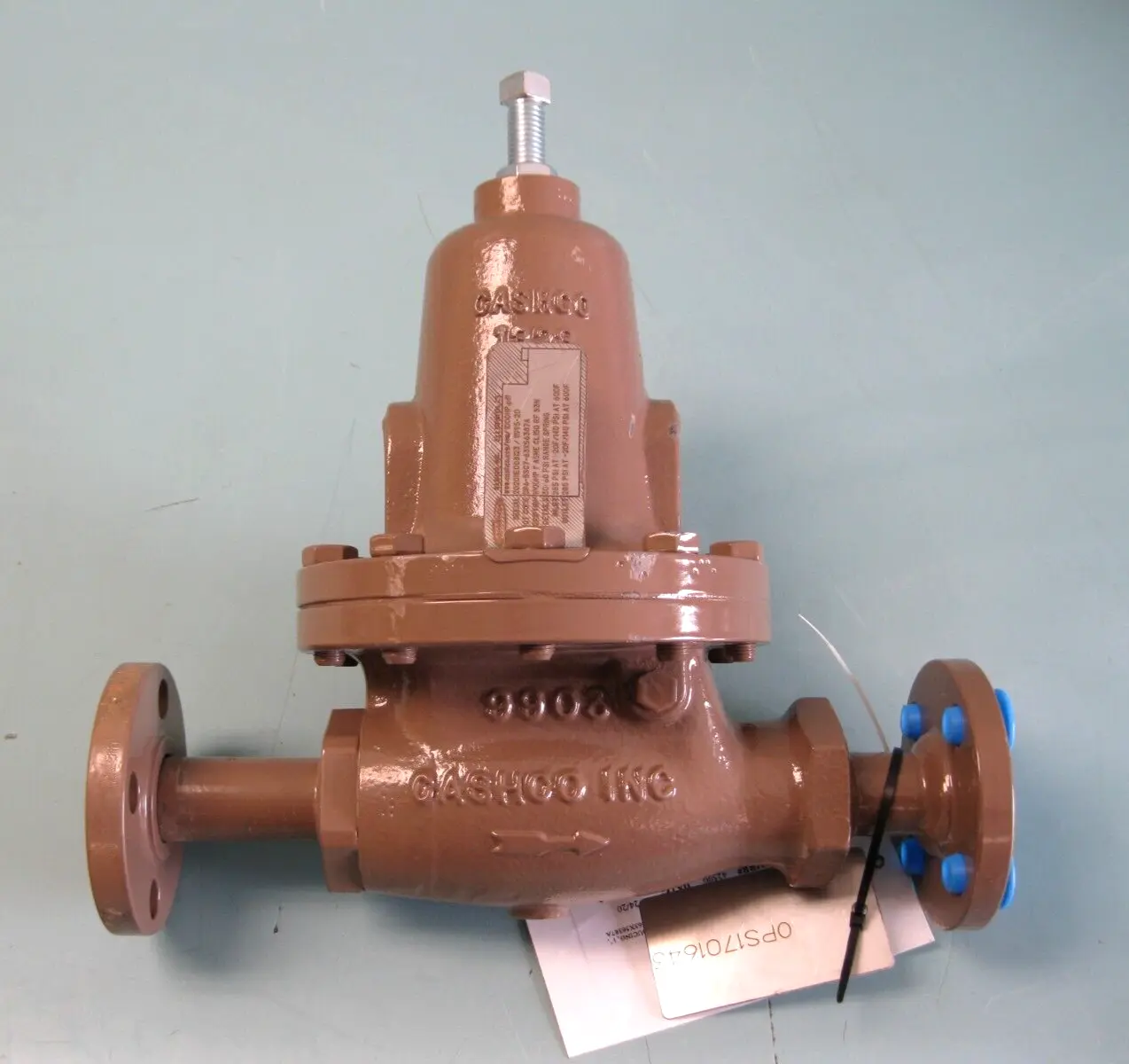 NEW Cashco BR6-5SC7-63X56387A