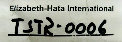 NEW ELIZABETH-HATA TSTR-0006 RELAY TSTR0006