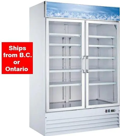53'' 2 Door Swing Glass Door Freezer with 45 Cu.Ft