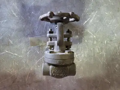 1/2", Class 800, Gate Valve, B16.34