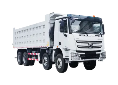 XCMG GLOBAL XGA3311D2WE Dump truck | Iron Listing (1)