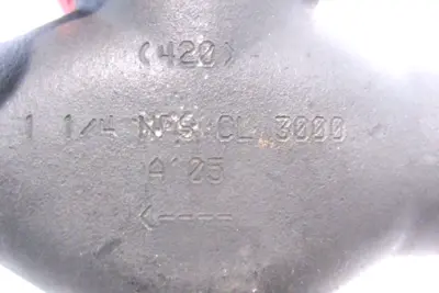 NEW FLOWSERVE SW2191 GLOBE VALVE