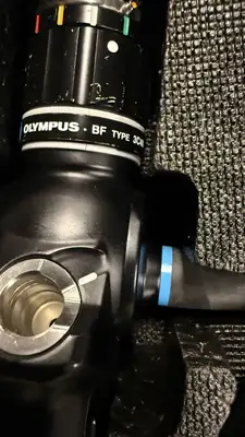 Used Olympus BF-3C40 Endoscopy Texas US | PT Medical Technologies #1458401