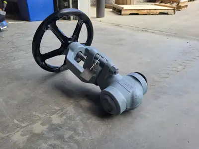 2" 900 PSI Globe Valve