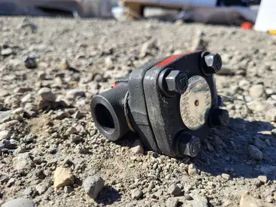1/2" Class 800 Check Valve API 602