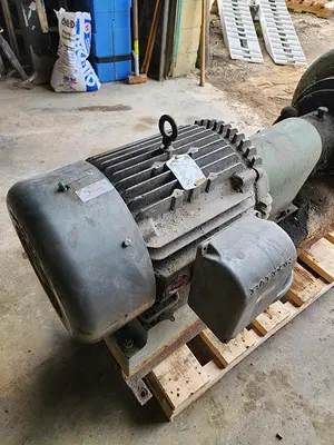 USED GOULDS 3196