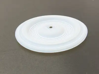 Nomad 01-1010-55 NSNP Pump Diaphragm Primary PTFE Used In Wilden 1/2" Pumps