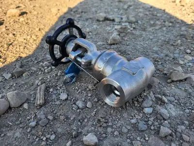 3/4" Class 800 Gate Valve API 602