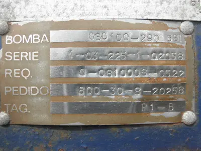 USED SULZER BINGHAM GSG-100-290/5ST