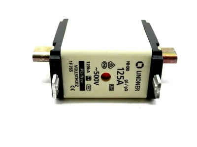 7 NEW LINDNER 1F765 FUSES 125A 500V