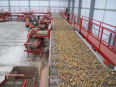New | in-Stock TONG ENGINEERING _UNKNOWN_ Conveyors Georgia US | Snap Equipment #1546459