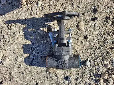 1" Class 800 Gate Valve API 602