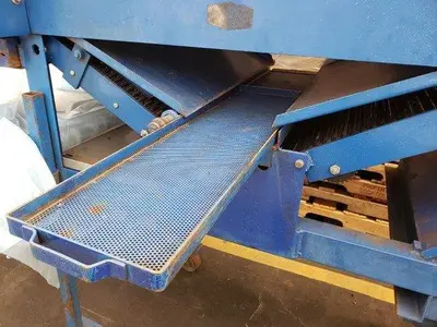 Berry Grading Sorter