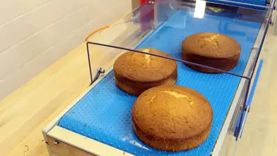 KRUMBEIN | HS300 Horizontal Tabletop Slicer | Cake Slabber