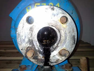 USED Goulds 3196 STX