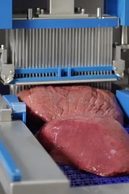 Suhner WS Series Meat Injector