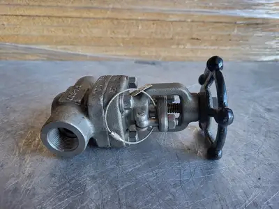 3/4" Class 800 Gate Valve B16.34