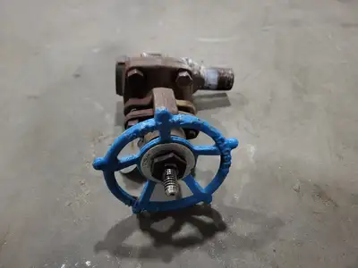 3/4" Class 800 Gate Valve B16.34