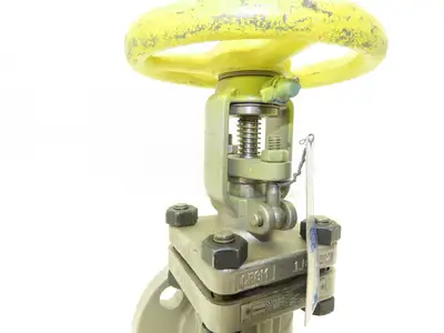 PK Valve 150RF10SL-TFE Stainless Gate Valve 1" Flanged 275psi Rising Stem