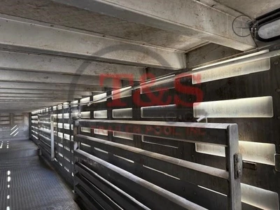 Used 2019 EBY _UNKNOWN_ Livestock Trailers Illinois US | T&S Trailer Pool #1509349