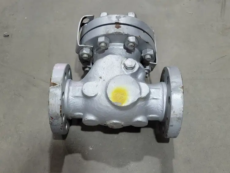 Used DSI VALVES 165 XU Valves/Fittings British Columbia CA | Lenmark #258045