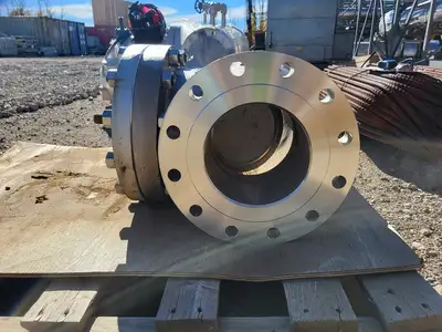 8" Class 300 Check Valve B16.34