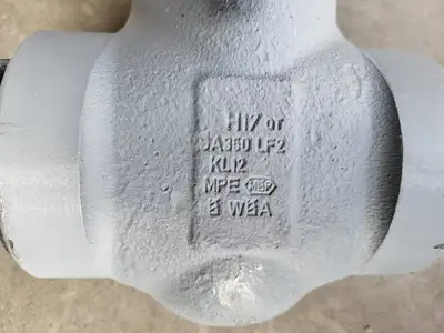 2" 900 PSI Globe Valve