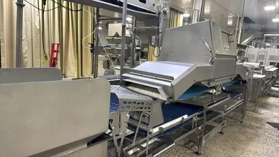 USED MAREL SENSORYX