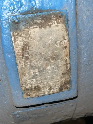 USED Goulds 3175