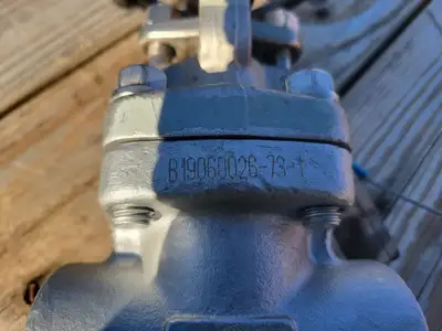 USED 2019 CHAODA VALVES GROUP API 602