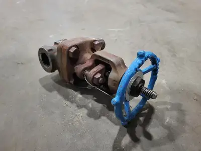 3/4" Class 800 Gate Valve B16.34