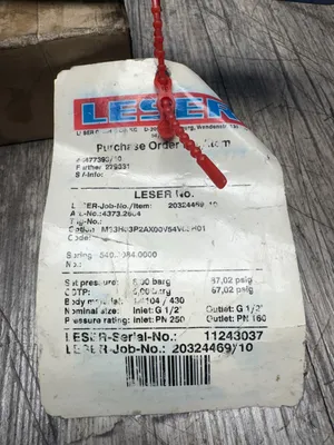Used LESER 4373.2604 Pumps South Carolina US | ESS Industrial Equipment Sales #1307431