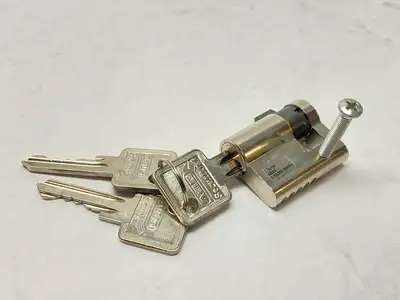New | in-Stock Rittal Semi-Cylinder For Handle Systems ABUS, w/ 3x Keys Misc Electrical & Power Parts Michigan US | Maverick Industrial Sales #1487730