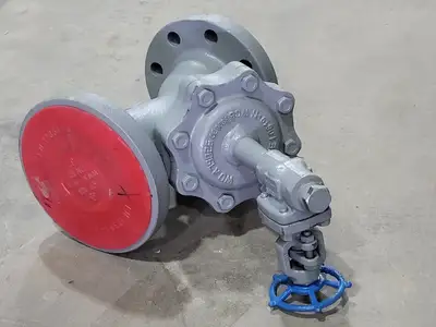 3" Fig 34 Y-Type Strainer w/ 3/4" Class 800 Gate Valve C-2054B-02TY