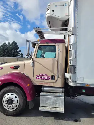 USED 2007 PETERBILT 335
