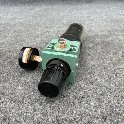 Used Numatics C30D-03CGL Air Pressure Regulators California US | Davliegogo LLC #1706395