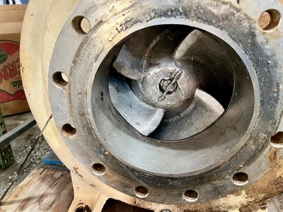 USED Goulds 3175