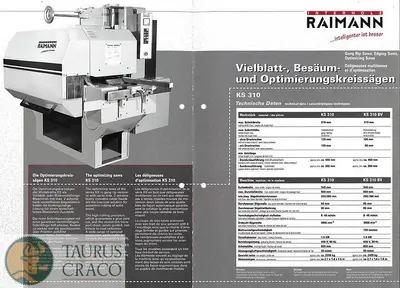 USED 2001 RAIMANN VARIORIP KM 310 BV GANG RIP SAW