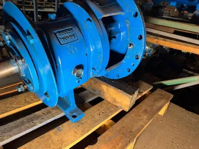 USED GOULDS 3196