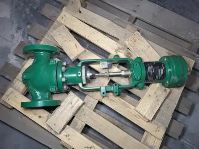 2" Class 300 Globe Valve w/ Actuator Type 655