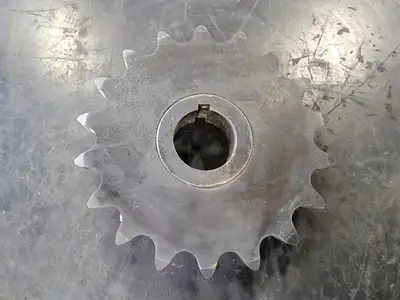 Roller Chain Sprocket 100P18
