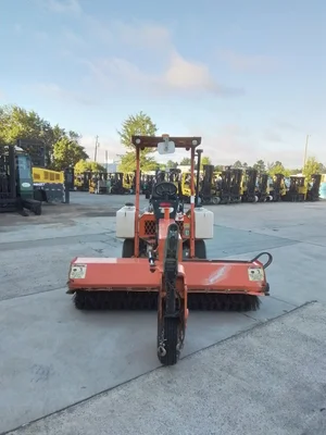 USED 2018 ADVANCE SM300