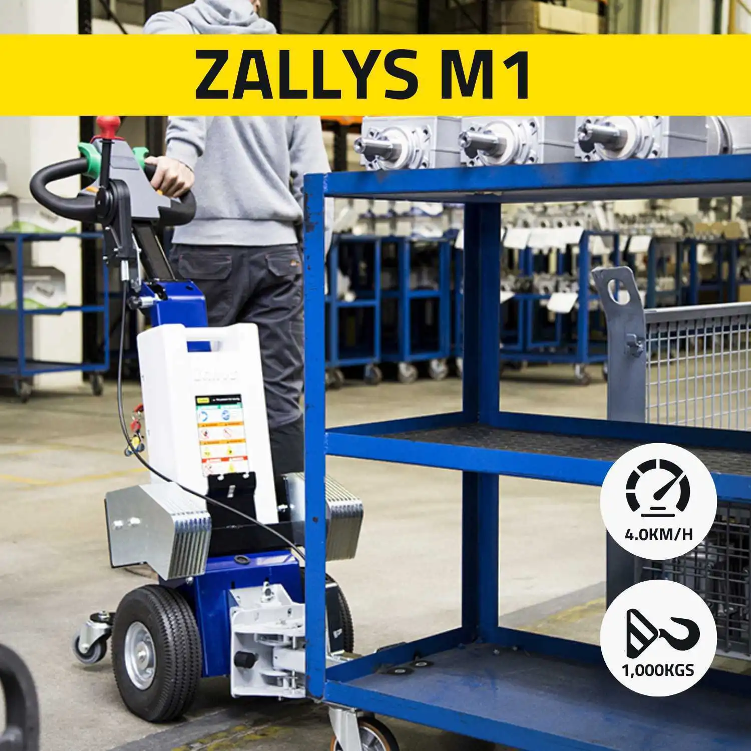 USED 2018 Zallys M1