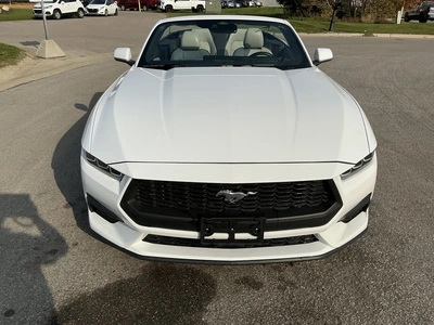 Used 2024 FORD MUSTANG Cars Michigan US | Miedema Asset Management Group #1579884