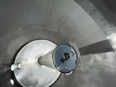 Tank, 50 Gallon, Stainless Steel, CIP Tank, Dish Top #S744978