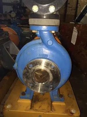 Goulds 3196 MTX 2x3x10 SS Pumps (2 Available)